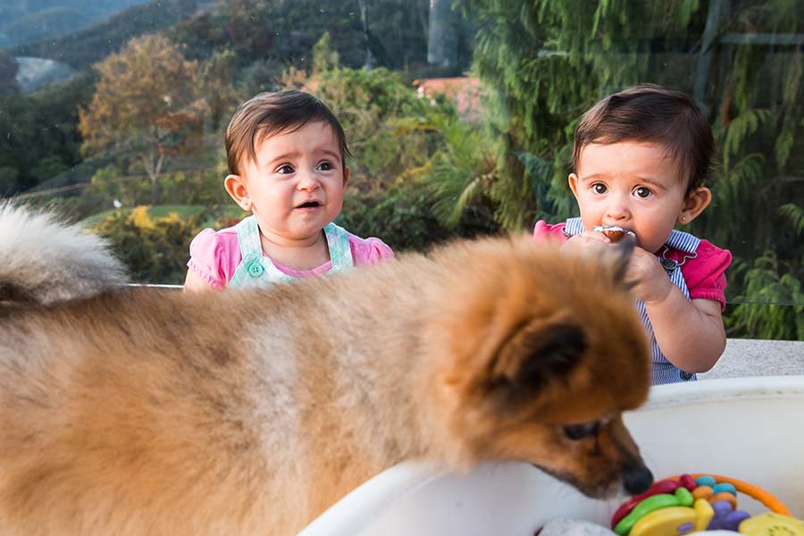 Ensaio de Familia – Ana Beatriz e Maria Clara – Itaipava – Rio de Janeiro